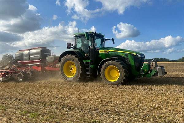 Etablering af raps i en mark